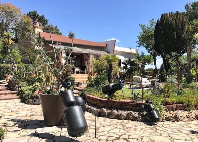 Bed and Breakfast La Cactee Singuliere Béziers Exterior foto
