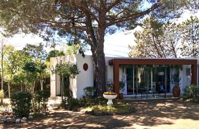 Bed and Breakfast La Cactee Singuliere Béziers Exterior foto